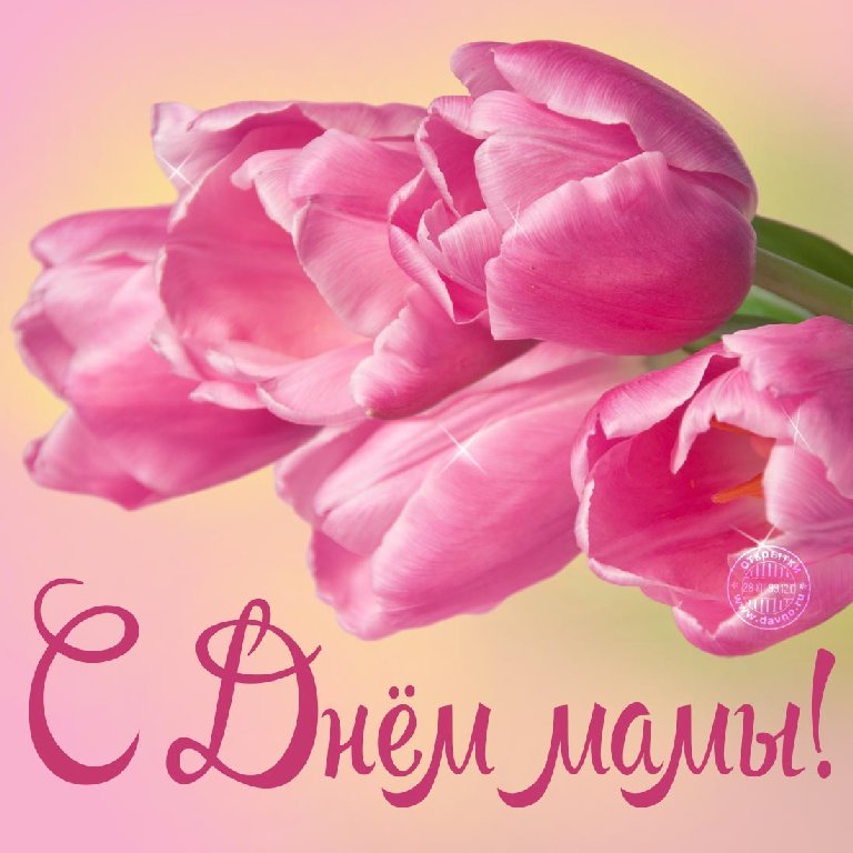 Открытки ко Дню матери будут бесплатно раздавать в 86 субъектах РФ